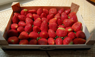 strawberries (onemorehandbag)