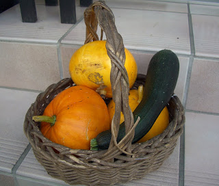 pumpkins from KLU (onemorehandbag)