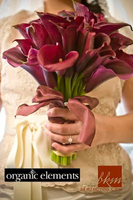 Large Eggplant Calla Lilies United in Soft Gold and Champagne Ribbons