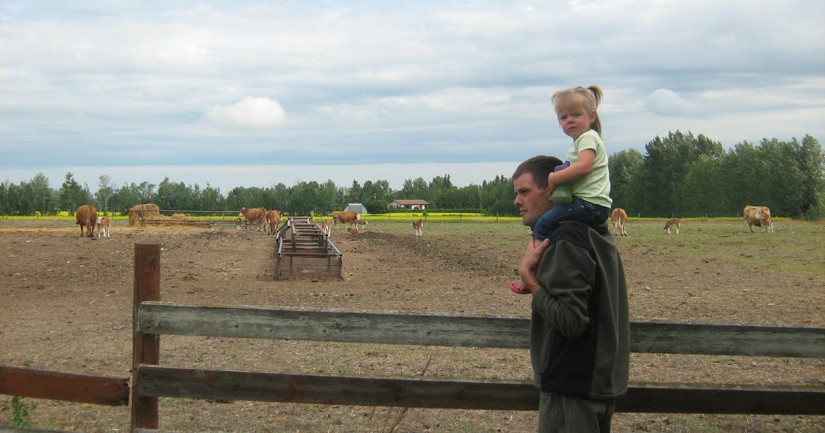the farmers Neerlandia, Alberta