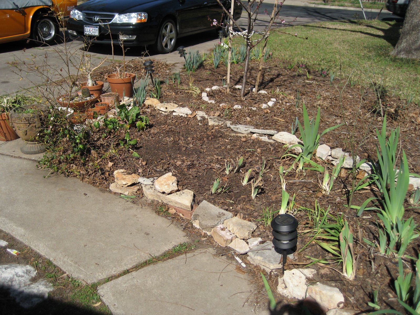 [Front+Border+2+24+2007.JPG]