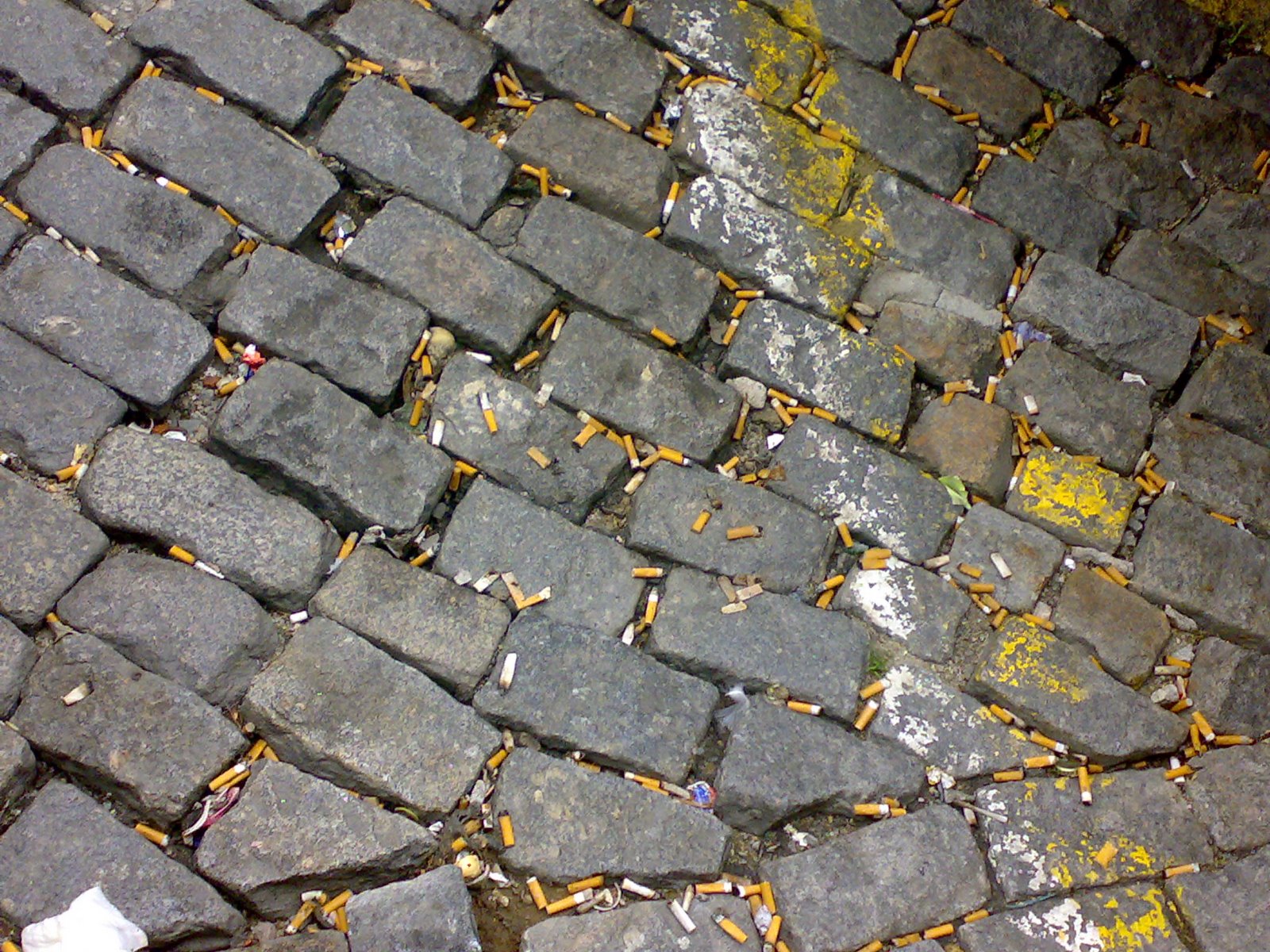 [20022008026.jpg]