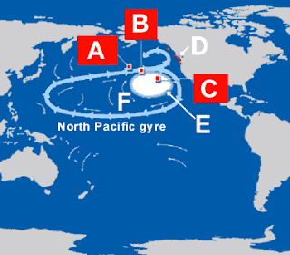North Pacific Gyre