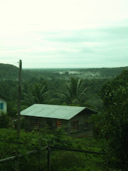 The view from the back steps