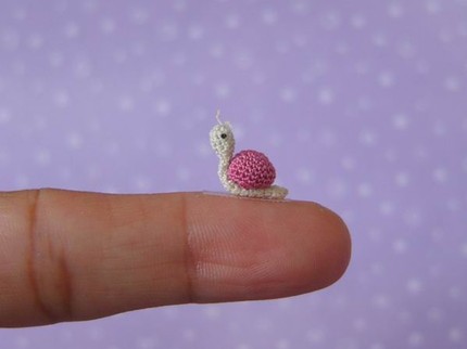 [tiny+snail.jpg]