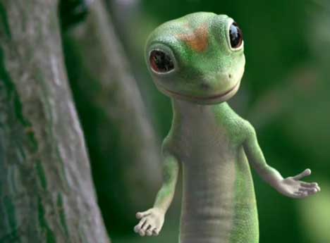 geckos lizard