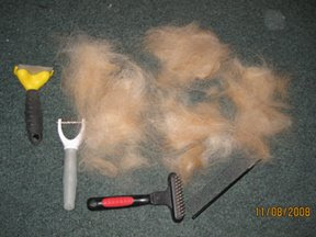 photo of Sophie's grooming tools around another huge pile of dog hair