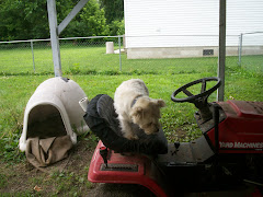 My Tractor Jockey Riley