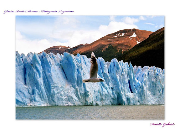 Glaciar Perito Moreno - Glacier