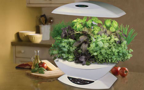 the uncouture gardener: February 2011