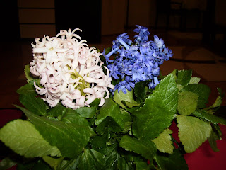 �i�ek Resimleri (5 Katalog)