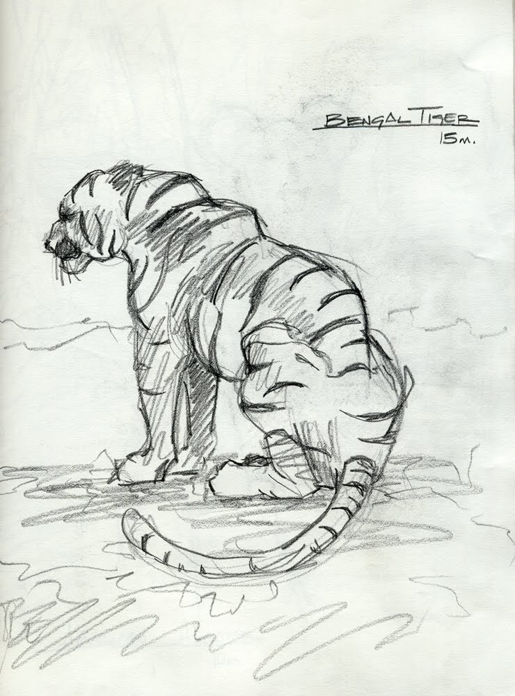 [Tiger+Sketch.jpg]