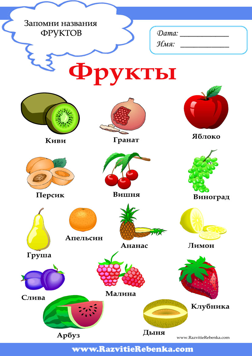 Филин раскраски для детей Филин раскраски для детей