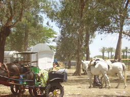 Una "pará" en el camino