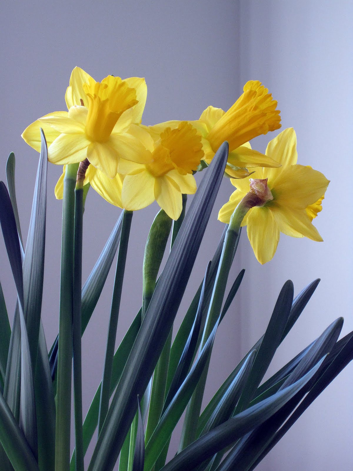 [sideboard+005+a.jpg]