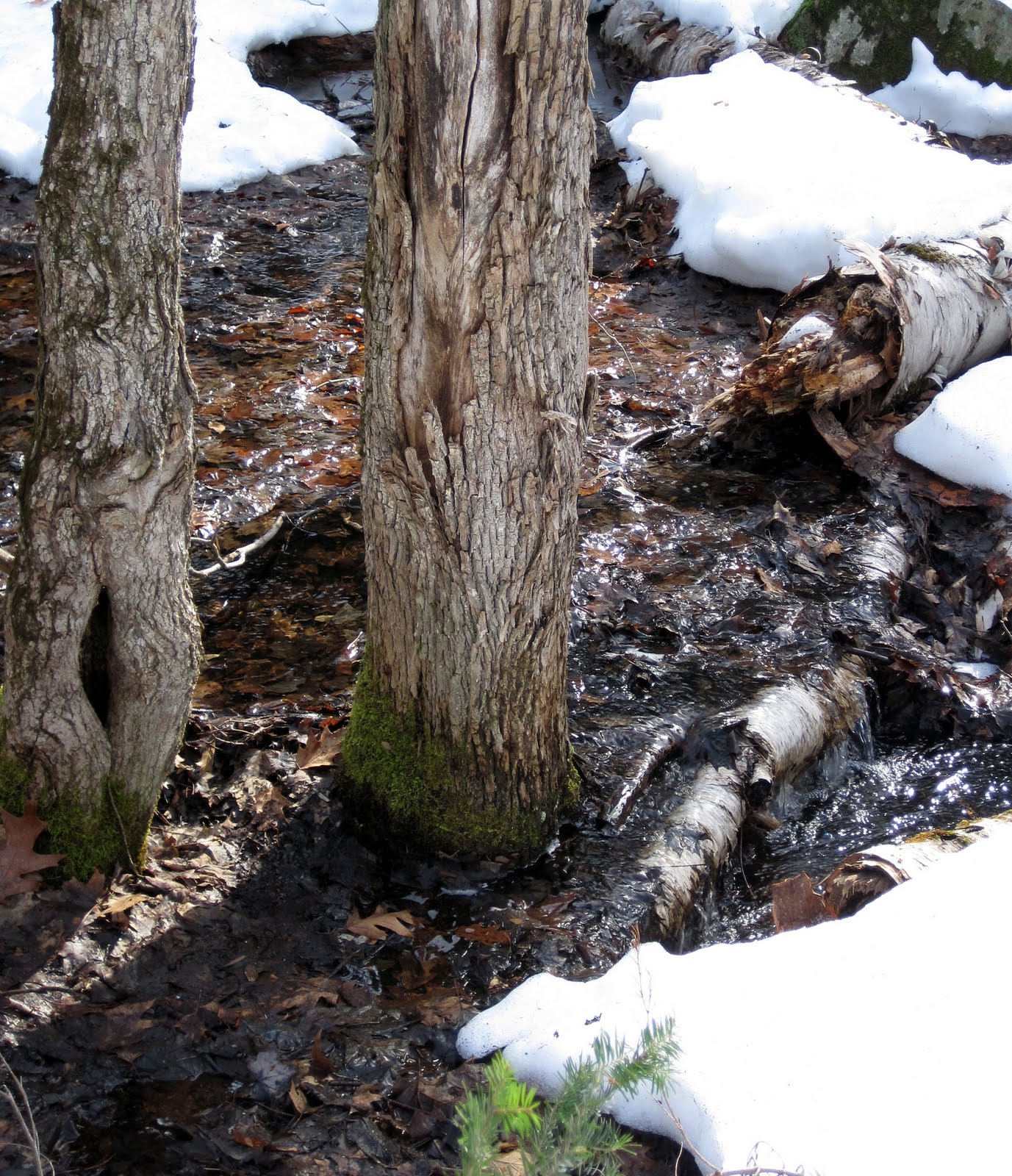 [March+Break+2010+202+a.jpg]