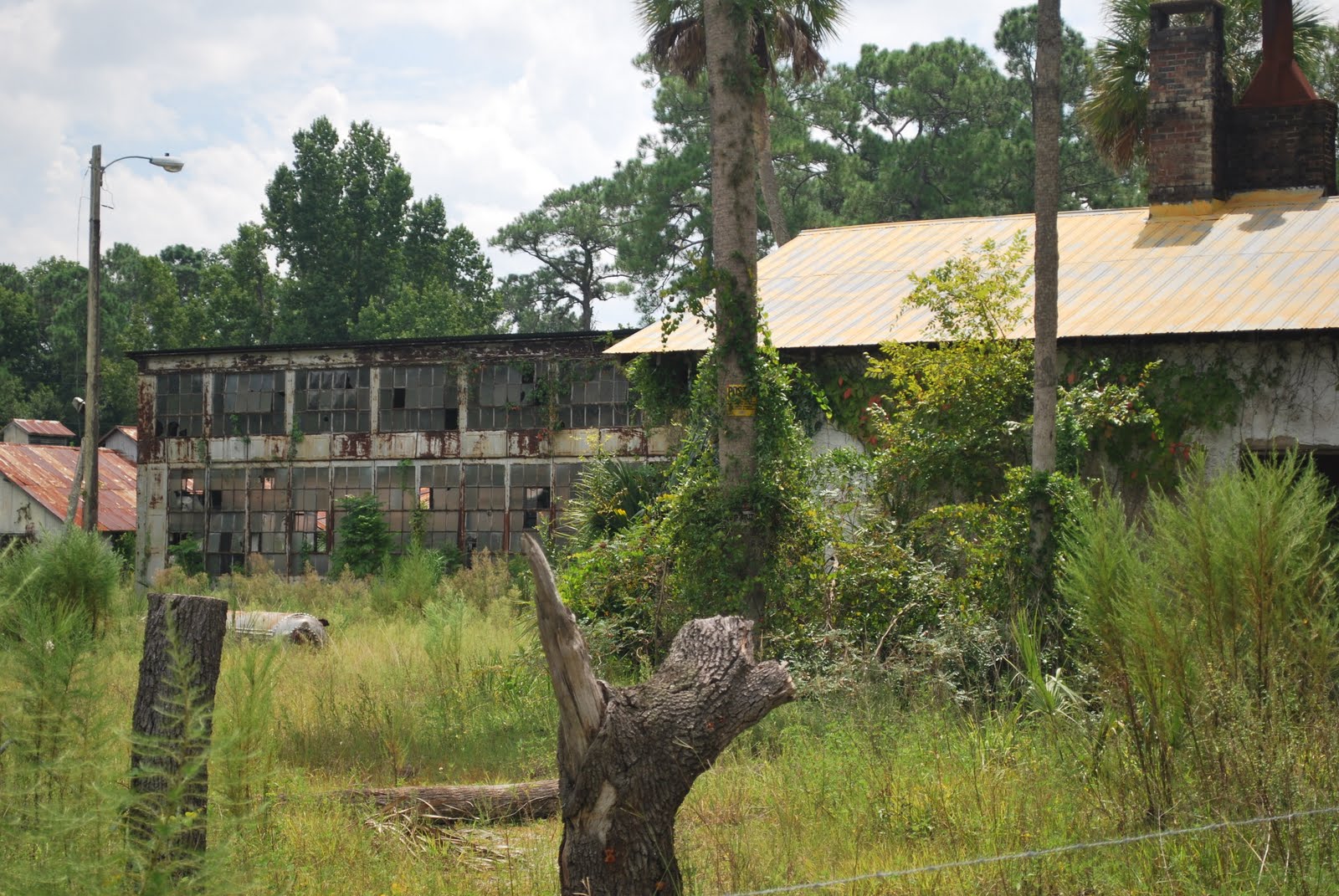 A Mix of Extraordinary Genius and Naive Rural Florida