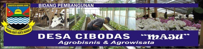 Bidang Pembangunan Desa Cibodas