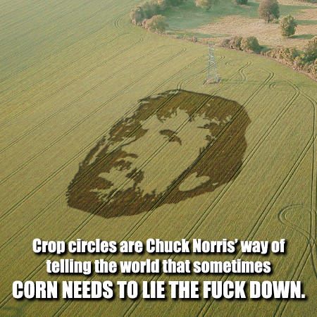 Crop circles and Chuck Norris Crop circles and Chuck Norris