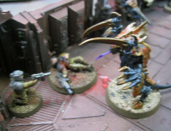 [Anphelion+finished+024.jpg]