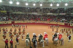 [TRDR_1063_IMG.jpg]