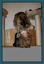 THEME...KISSES