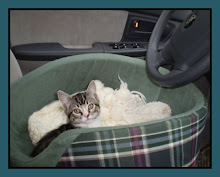 THEME...ARE WE THERE YET???