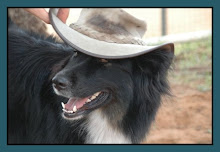 THEME...THIS HATS FOR YOU!!