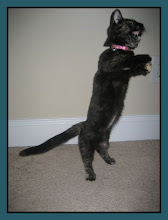 THEME...TIPPY TOES