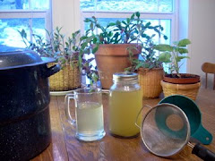 MAKE  ESSIAC AT HOME