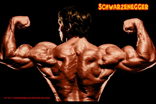 arnold schwarzenegger bodybuilding. needbodybuilding arnold