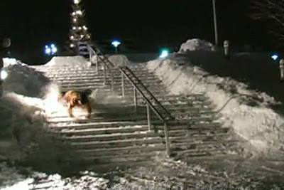 Snowboarding Fail