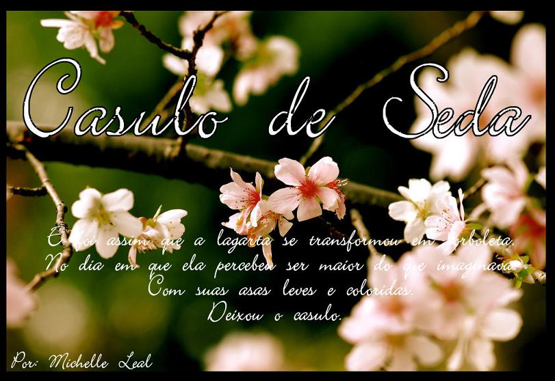 casulo de seda