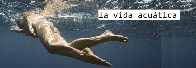 la vida acuatica