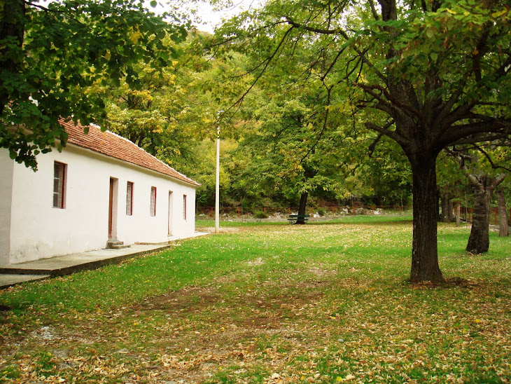 Shkolla e Arrzës së Traboinit