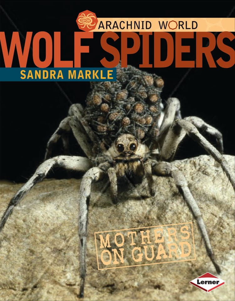 WolfSpiders_Cover.jpg