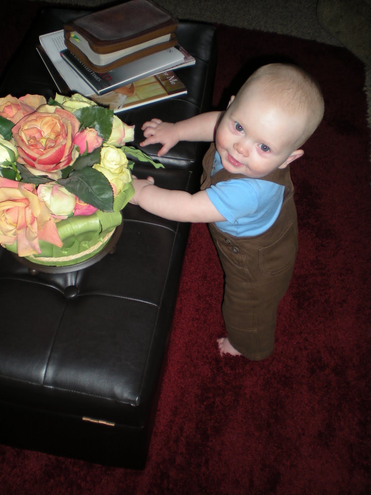 [DSCN2575.JPG]