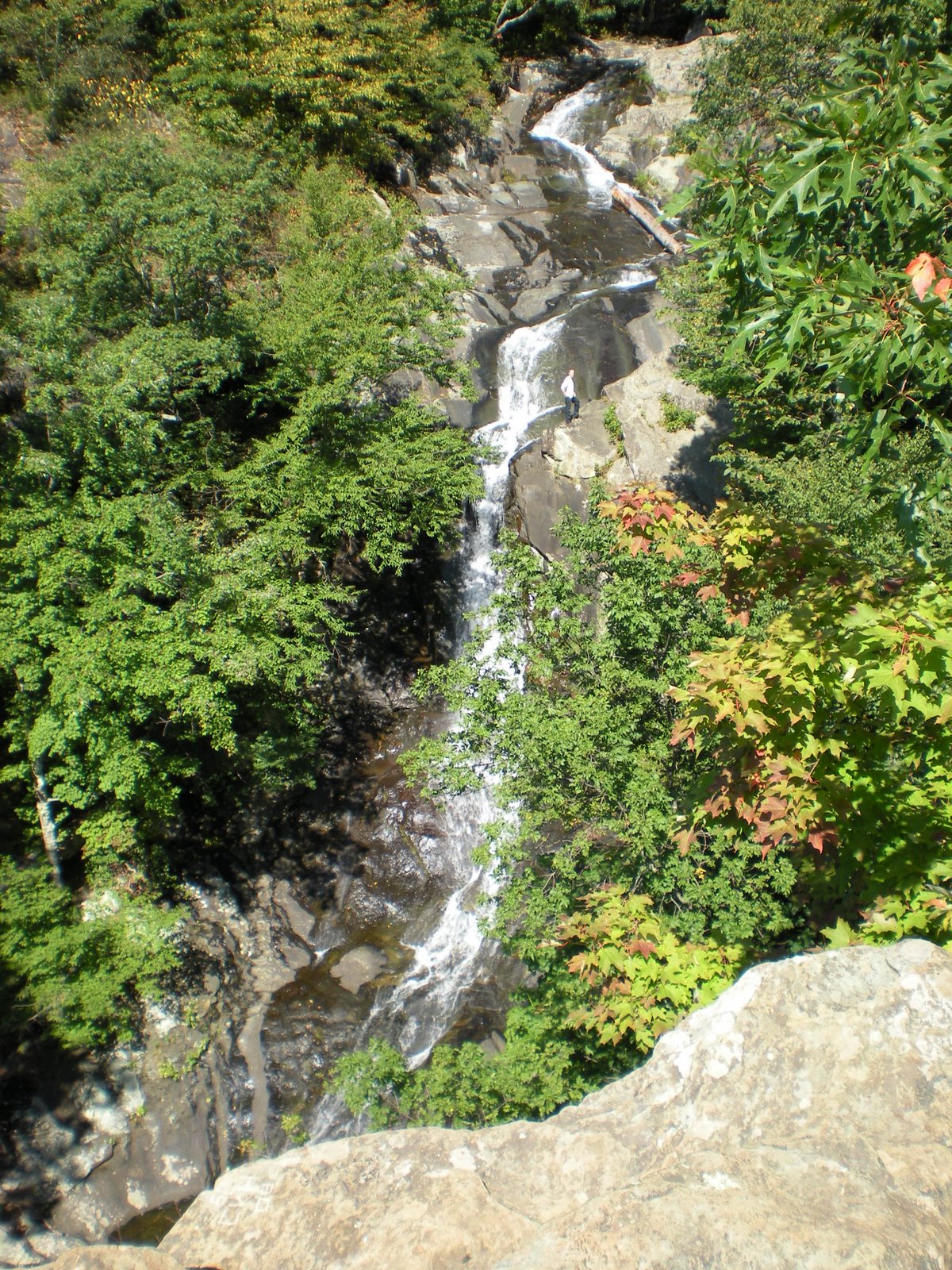 [090108_1130_01.JPG]