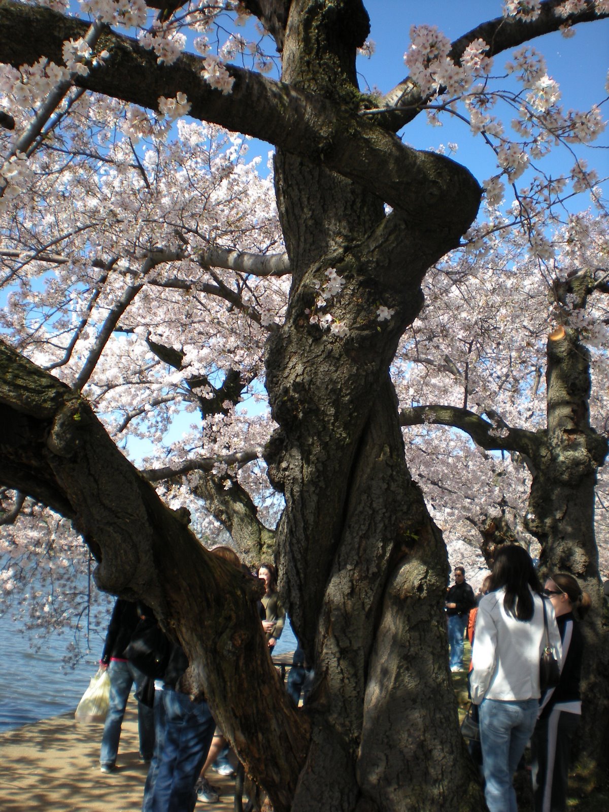 [DSCN0597.JPG]