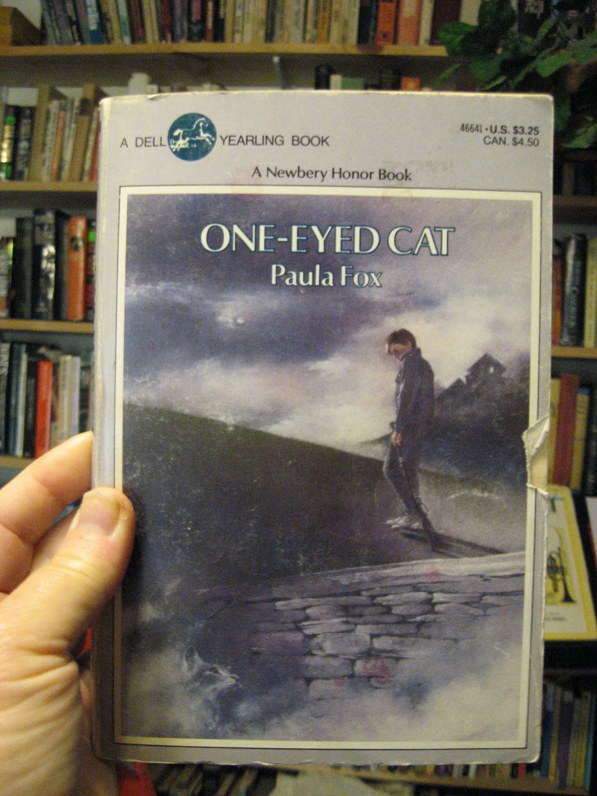 Project Newbery Award 1985 Honor One Eyed Cat