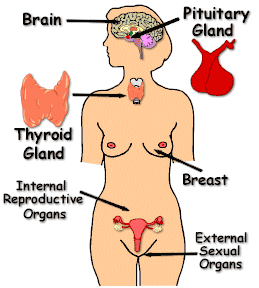 Women+body+parts+name