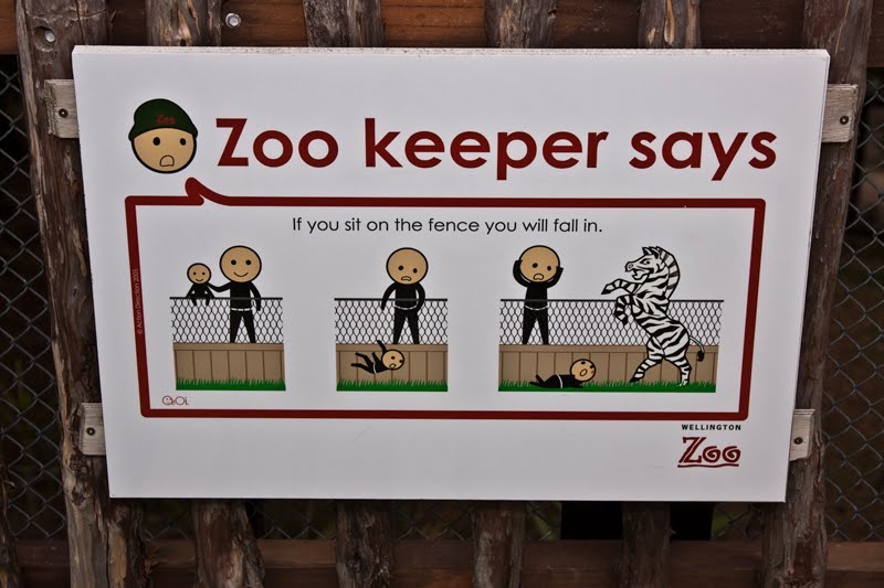 Life As A Zookeeper Common Sense Zoo Rules