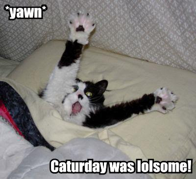 Dis was postid on Saturday,