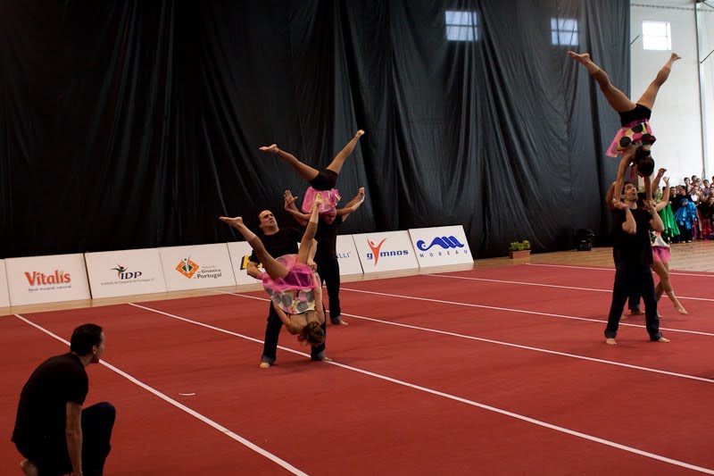 [IMG_3729.jpg]