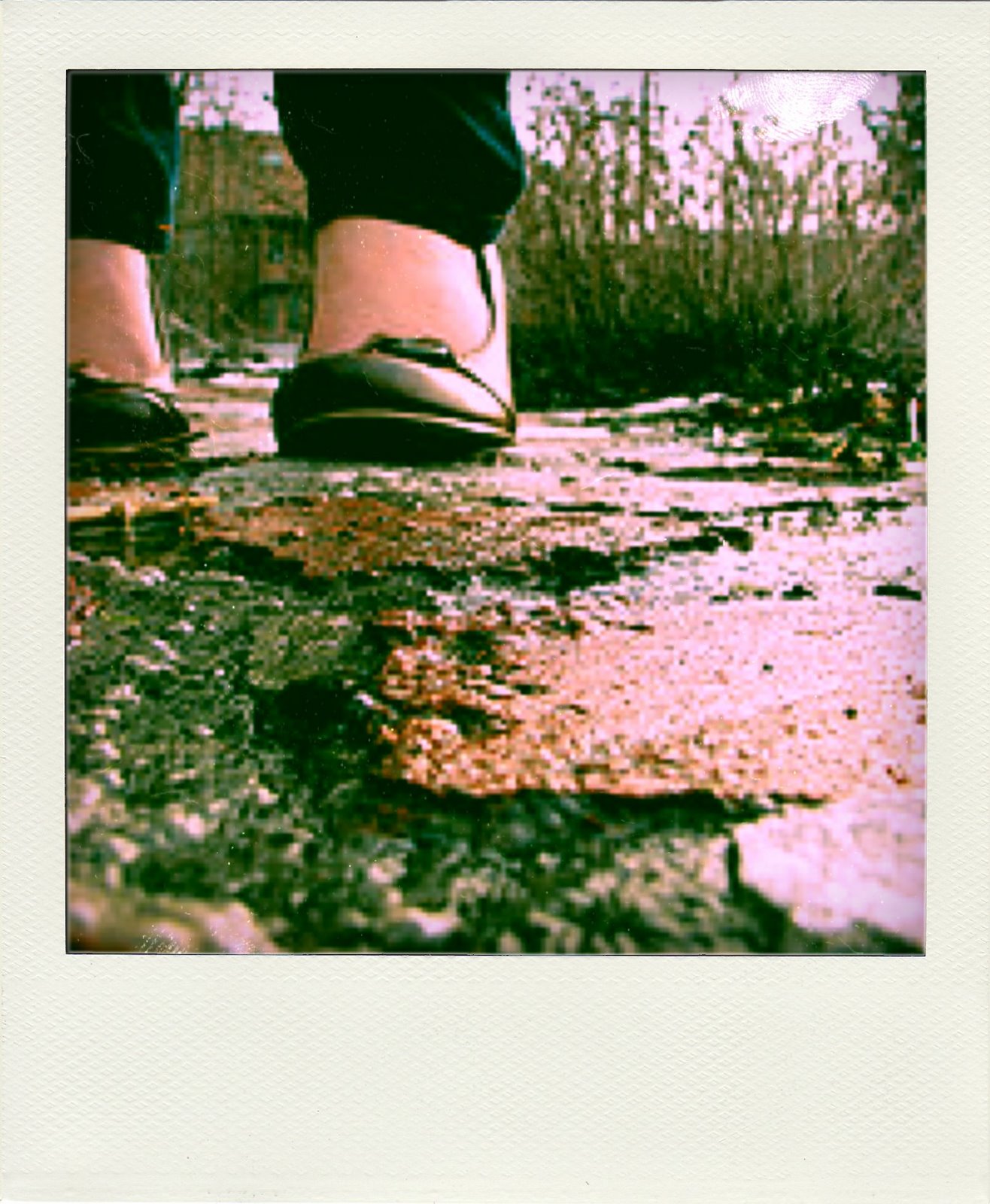 [3264741368_e2a3a6f426_m-pola.jpg]