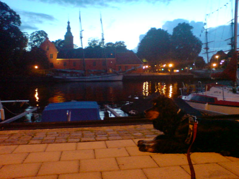 [image-upload-56-796444.jpg]