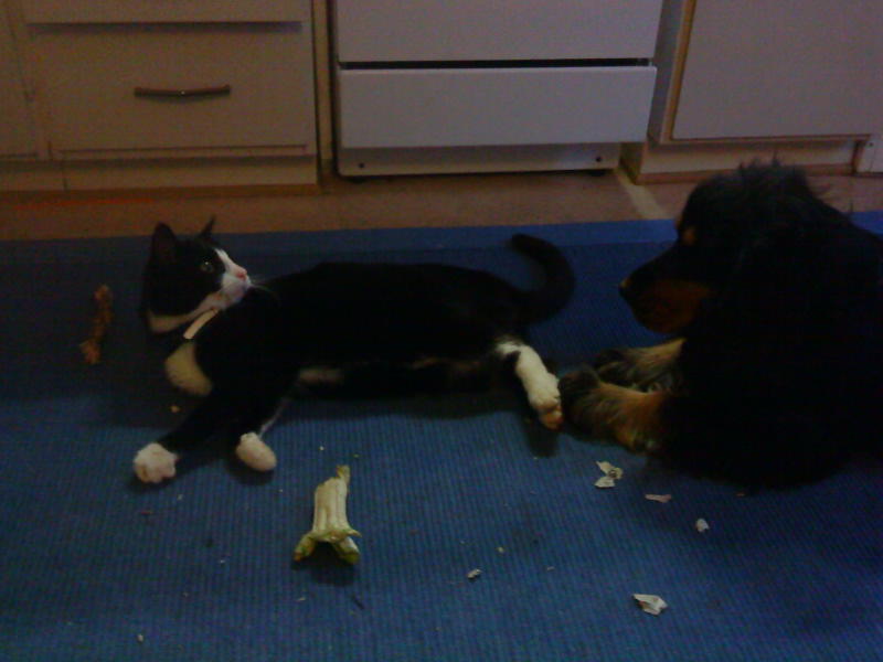 [image-upload-11-764322.jpg]