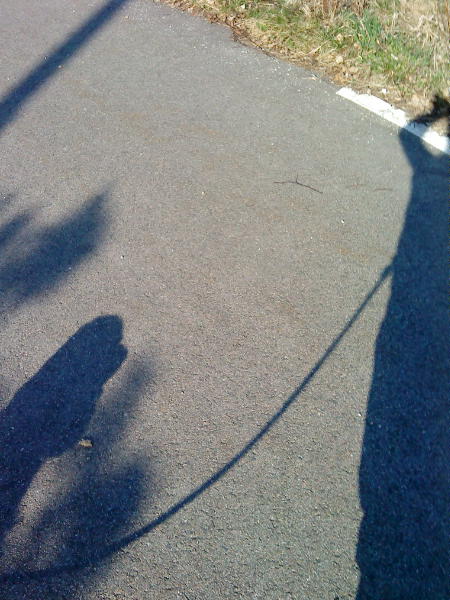 [image-upload-15-739479.jpg]