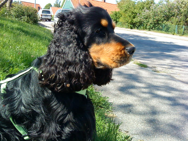 [image-upload-125-791743.jpg]
